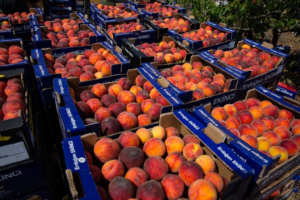 Минэкономики: Экспорт сельхозпродукции снизился из-за непогоды в 2020 году.
