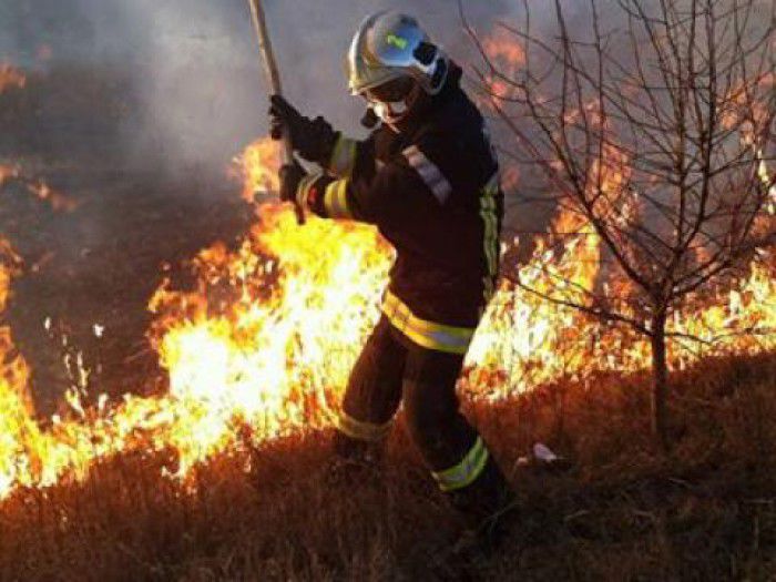 Peste 90 de hectare de vegetație au luat foc în decurs de 24 de ore. Foto: dse.md