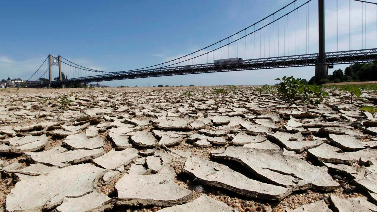 Во Франции прогнозируют многомиллиардные убытки из-за засухи.