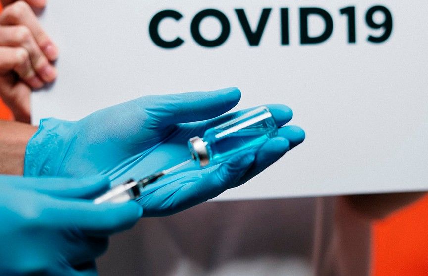 Кара сообщил, что в Турции успешно испытана вакцина от коронавируса на животных.