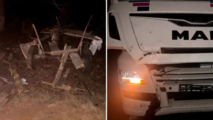 Un camion a lovit mortal un cal pe traseul Tiraspol-Camenca.