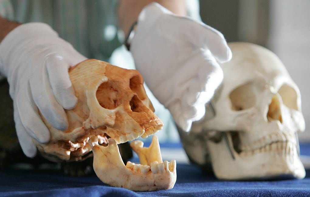 В Болгарии нашли останки древнейших европейских Homo sapiens.