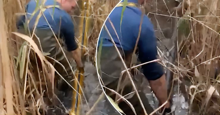 Украинцы под носом у пограничников построили спиртопровод в Молдову. Фото: Point.md.