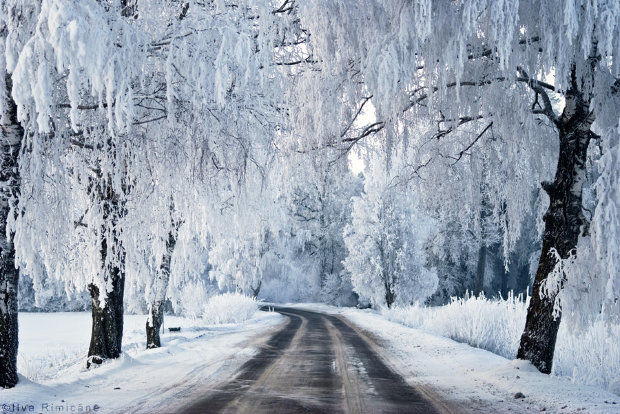 Potrivit meteorologilor maine si poimane vor cadea fulgi in sudul si centrul tarii. Foto: ntv.md