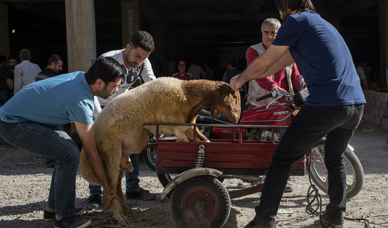 14.000 de persoane, rănite în timpul sacrificiilor de Eid al-Adha în Turcia.