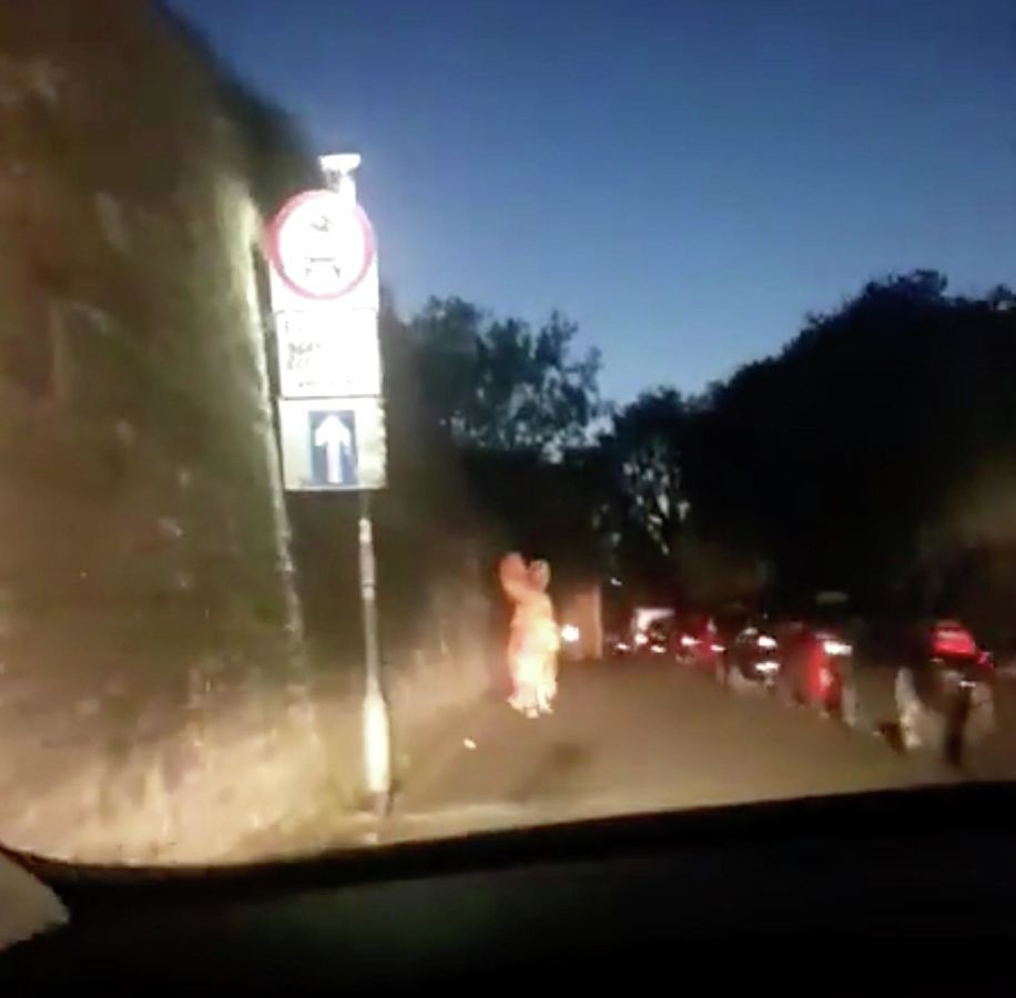 Погоня британских полицейских за "динозавром" попала на видео.