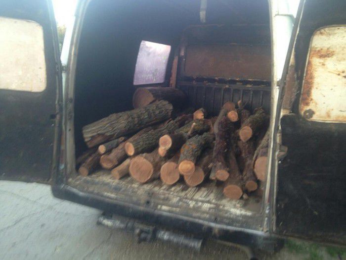 Patru persoane au fost reținute de către oamenii legii pentru defrişarea unei fâşii forestiere din satul Başcalia. Foto: igp.gov.md