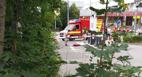 Comandantul poliției a menționat că atacatorul a strigat ceva înainte de a trece la acțiune, însă a subliniat că până în prezent nu s-a stabilit cu exactitate despre ce este vorba.