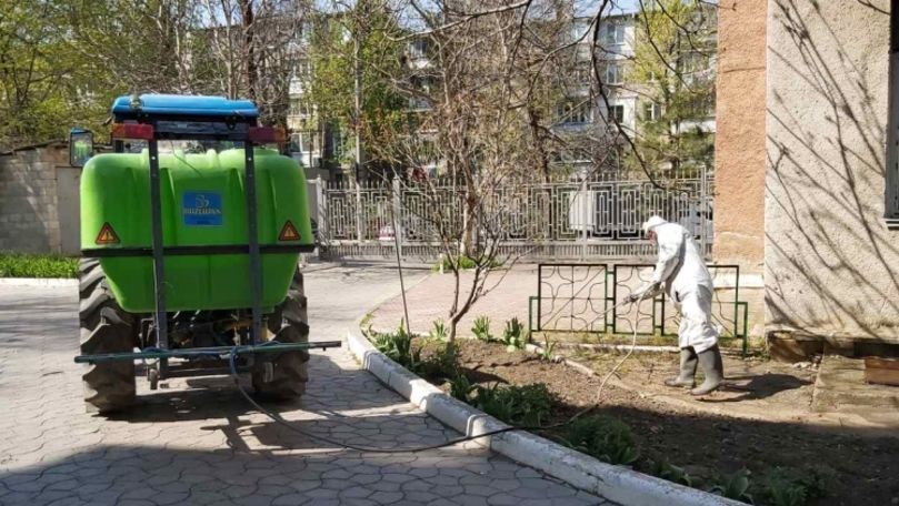 В столице начались работы по дезинсекции и дератизации.