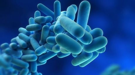 Antibioticele au efecte adverse devastatoare. Foto: storage0.dms.mpinteractiv.ro