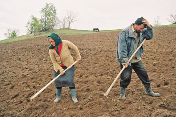 Reglementarea activității zilierilor, votată în primă lectură. Foto: ipn.md