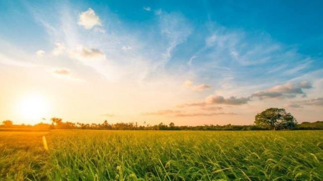 Meteo: Vreme caldă şi cer variabil. Câte grade vor indica termometrele. Foto: Jurnalul National