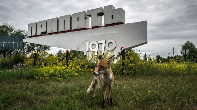 Чернобыльскую зону отчуждения открыли для туристов.