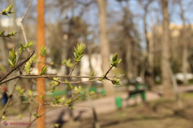 Sâmbătă și duminică pe alocuri vor cădea ploi de scurtă durată. Foto: ziarulnational.md