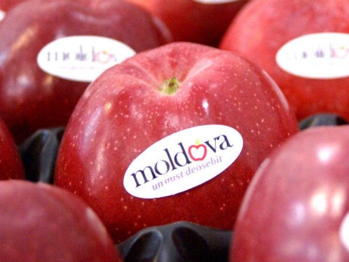 Două camioane cu peste 20 tone de mere moldovenești, interzise în Rusia