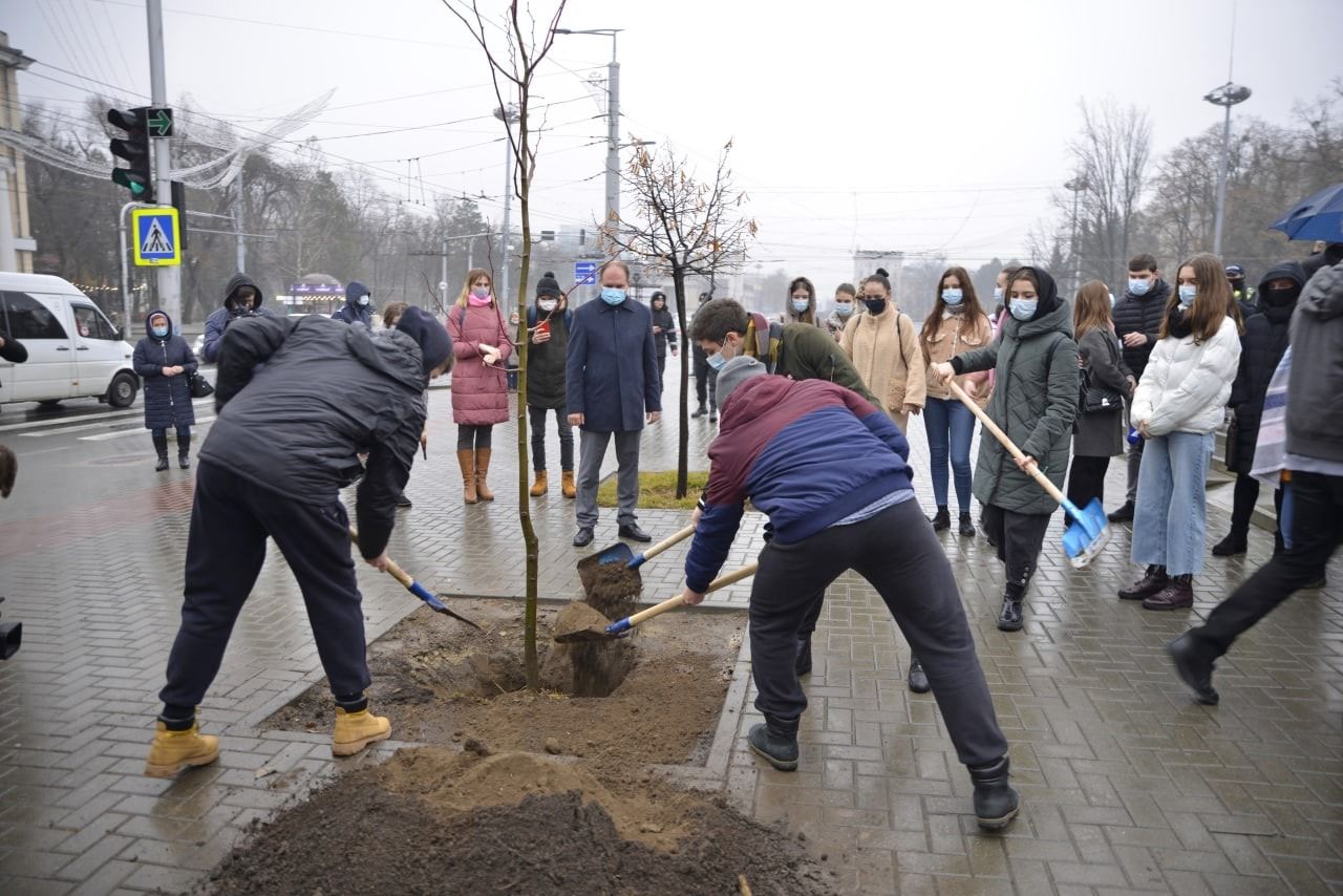 В Кишинёве в течение года посадили 100 тысяч и одно дерево.