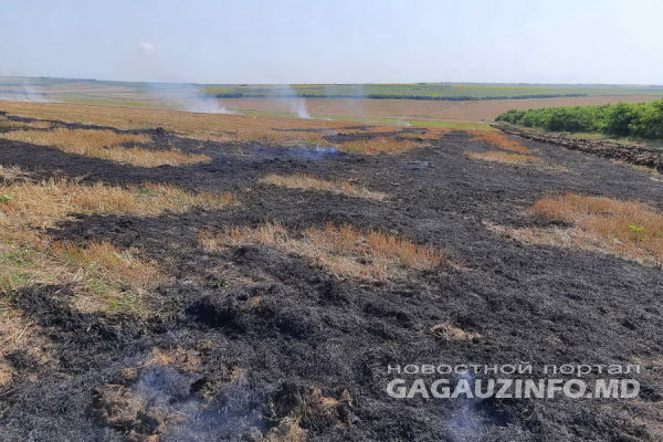 В Ферапонтьевке сгорело поле в несколько гектар.