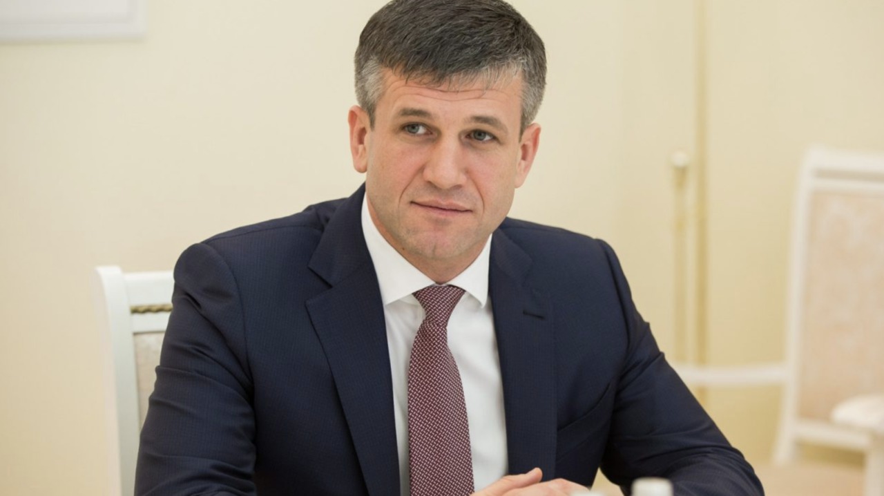 Кем является и чем владеет Василе Ботнарь.