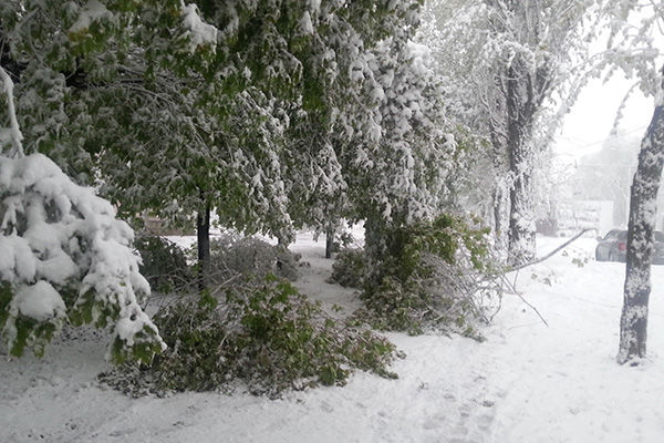 Celulă de criză în legătură cu condițiile meteo . Foto:ipn.md