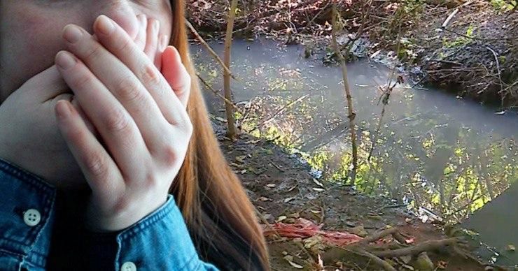 Запах чувствуется постоянно, а после дождя становится невыносимым.