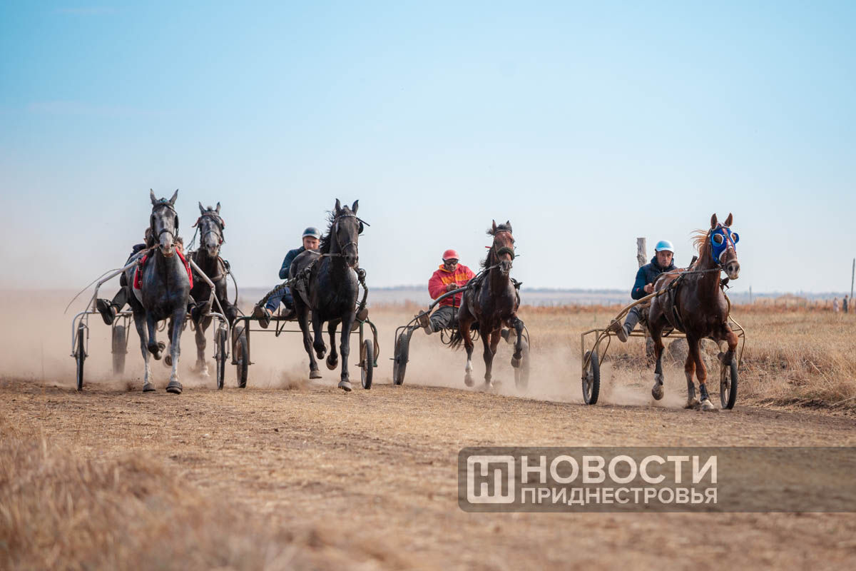 В Малаештах провели конные бега.