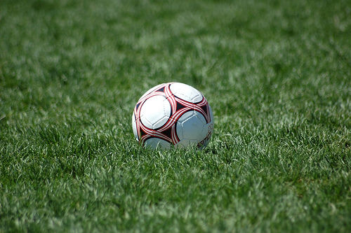 Germania şi Polonia, favorite la Campionatul European. Foto: ilfovsport.ro