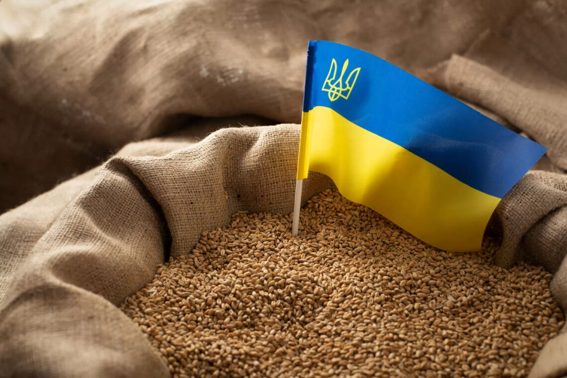 Украина и Польша договорились о возобновлении транзита зерна.