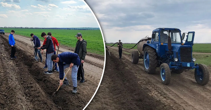 В Копчаке заложили новую лесополосу из 400 акаций. Коллаж: Point.md