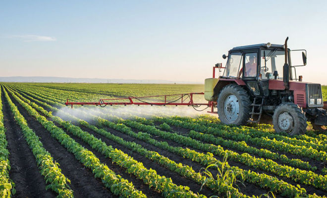 Subvenţii în avans. Proiectul vizează femeile şi tinerii agricultori