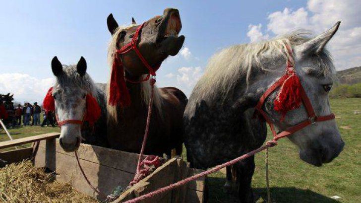 Paștele Cailor este o sărbătoare care pică în aceeași zi cu Înălțarea Domnului sau ziua de Ispas. 