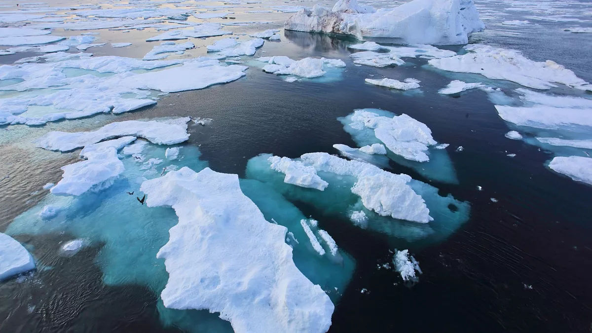 Studiu: Nivelul gheții marine din Arctica a atins un minim record.