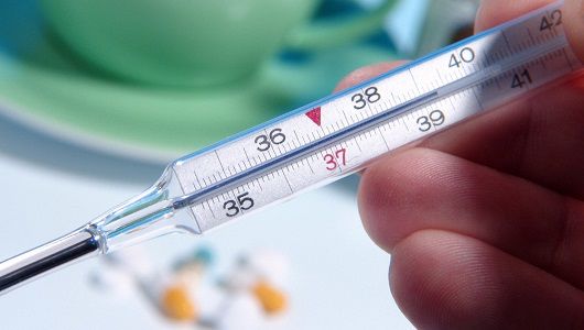 От гриппа были привиты 4595 детей и 113753 взрослых с хроническими заболеваниями.