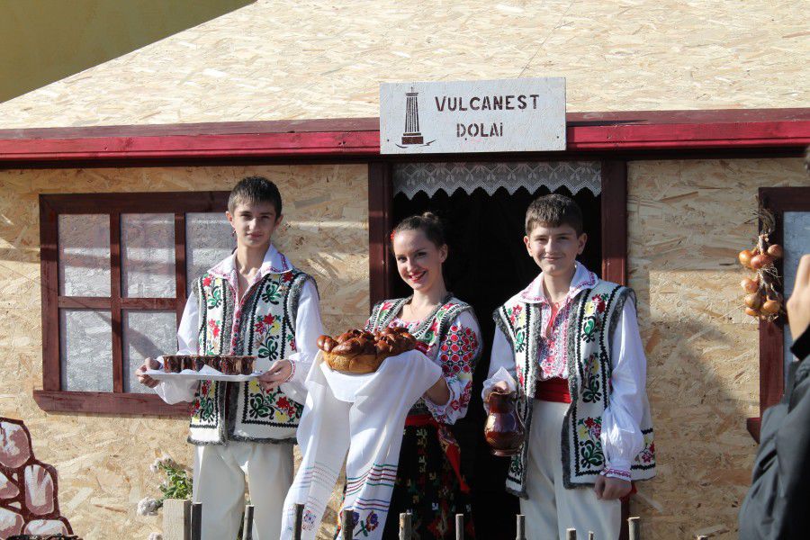 День вина широко отметят в Гагаузии 8 ноября. Фото: agrodel.livejournal.com