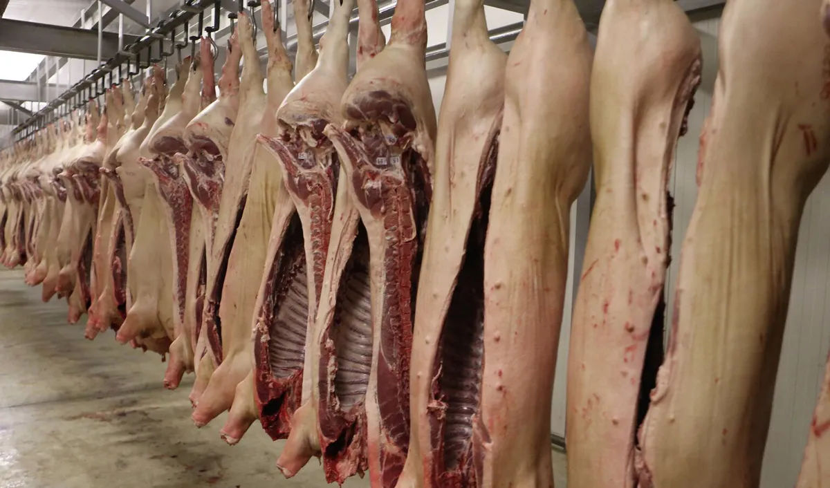 Guvernul a înăsprit controlul la frontieră pentru produsele animaliere.