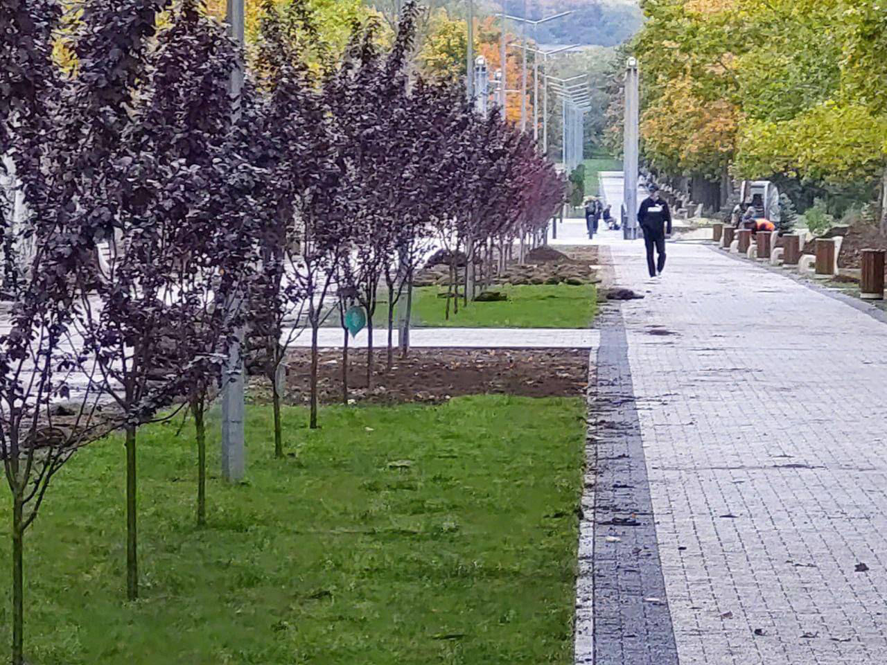 В Кишиневе 12 ноября начинается кампания по посадке деревьев.