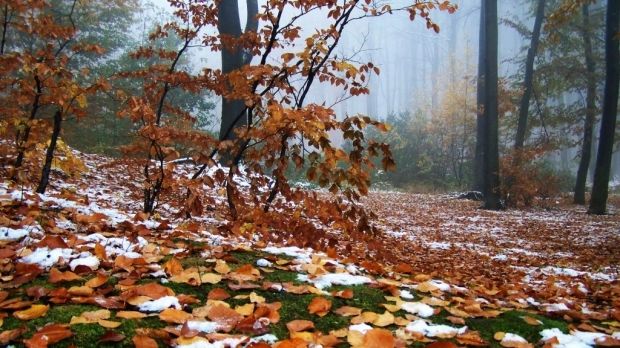 Vremea va fi determinată, mâine, de influența unei zone de aer cu presiunea atmosferică normală. Foto: romaniatv.net