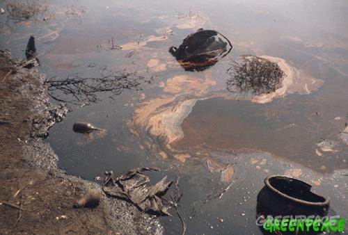 Люди говорят, что в домах стоит невыносимый запах. Фото: greenpeace