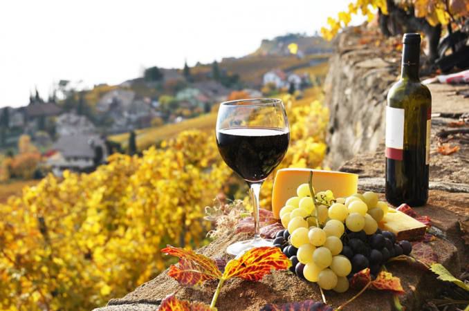 Moldova va deveni în 2018 „Capitală Mondială a Turismului Vinicol”