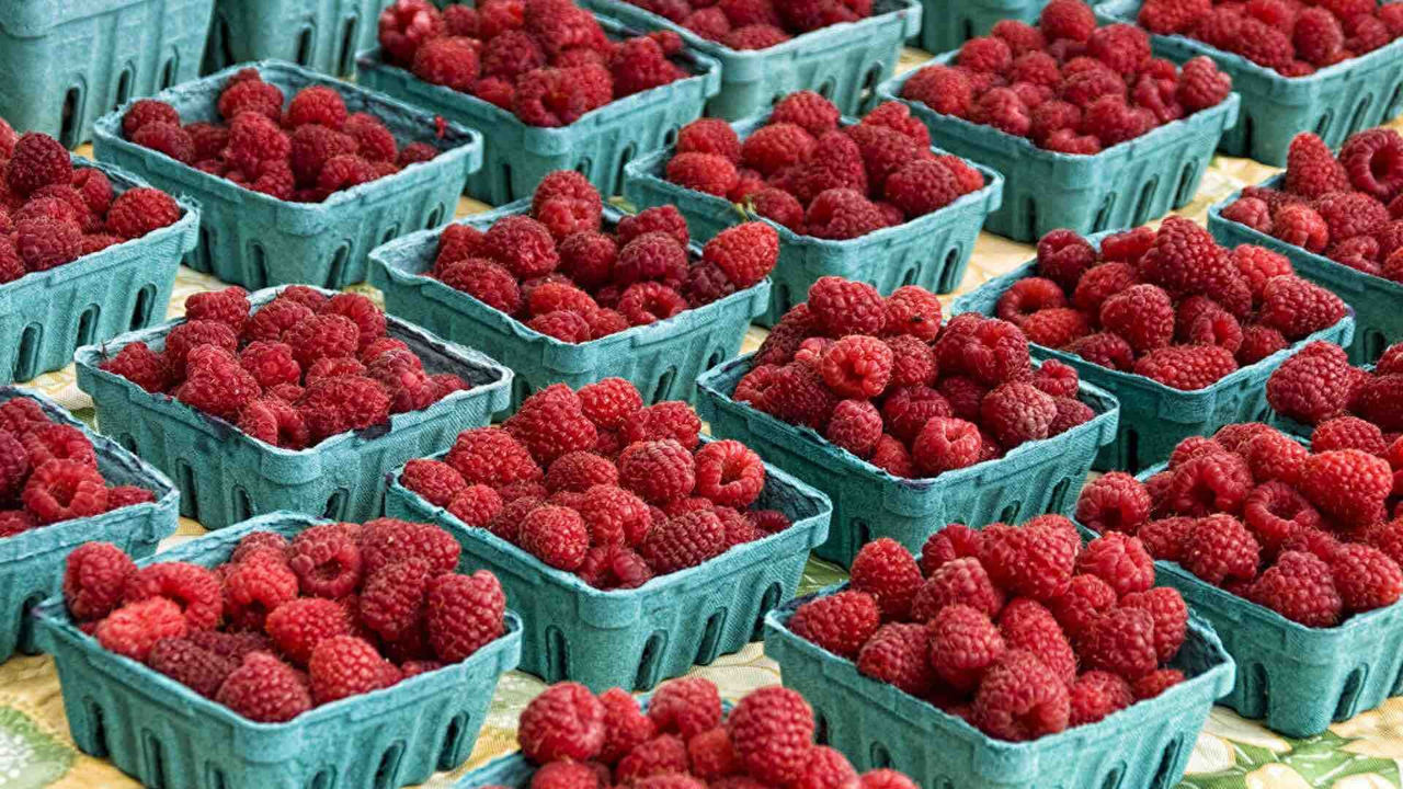 Prima zmeură, vândută în Moldova la prețul de 400 de lei pe kilogram.