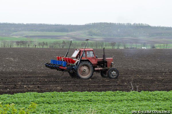  Iurie Uşurelu: Anul 2017 este un an agricol foarte bun. Foto: ipn.md