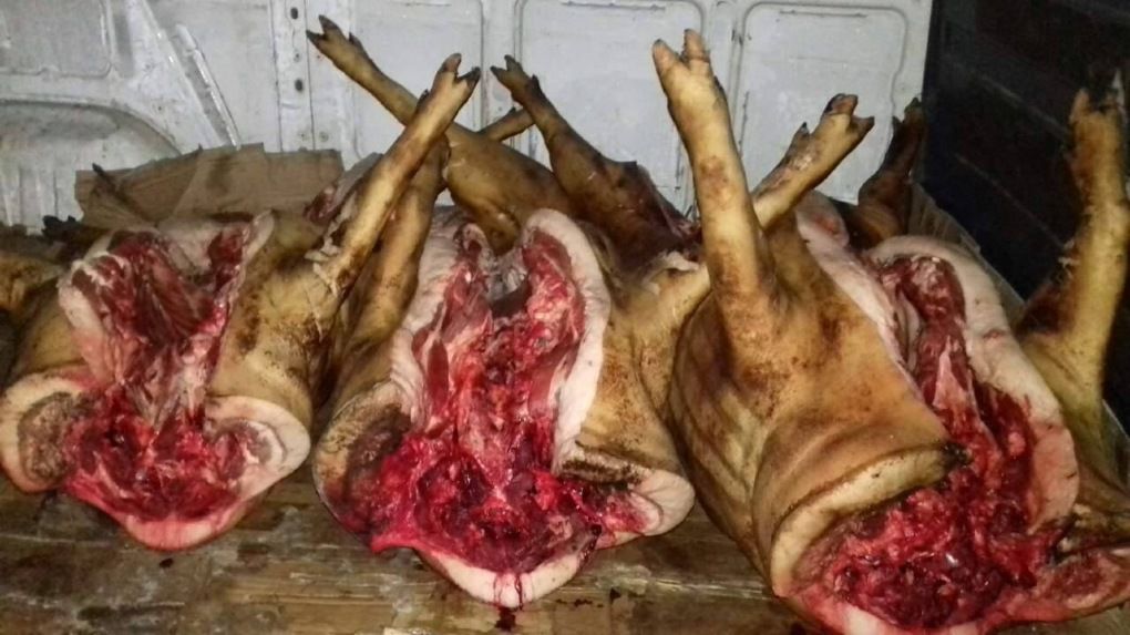 800 kg de carne, confiscate de polițiștii din Telenești. Foto: igp.gov.md