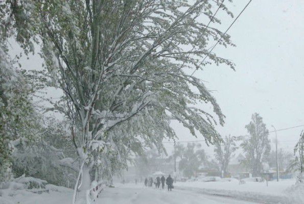 Граждане могут жертвовать и отслеживать в онлайн-режиме процесс сбора гуманитарной помощи.