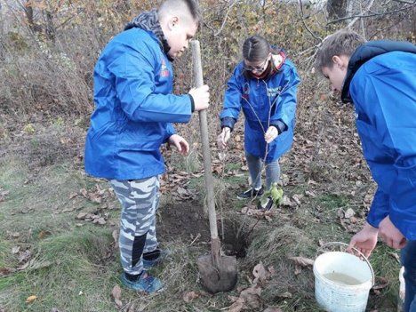 ДПМ проведет 27 октября национальное мероприятие по озеленению.