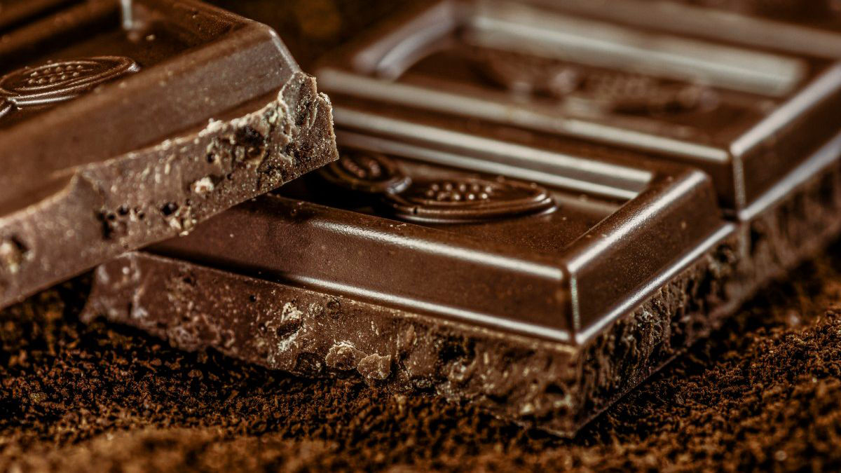 Доктор Мясников: Только в темном шоколаде находятся полезные вещества.