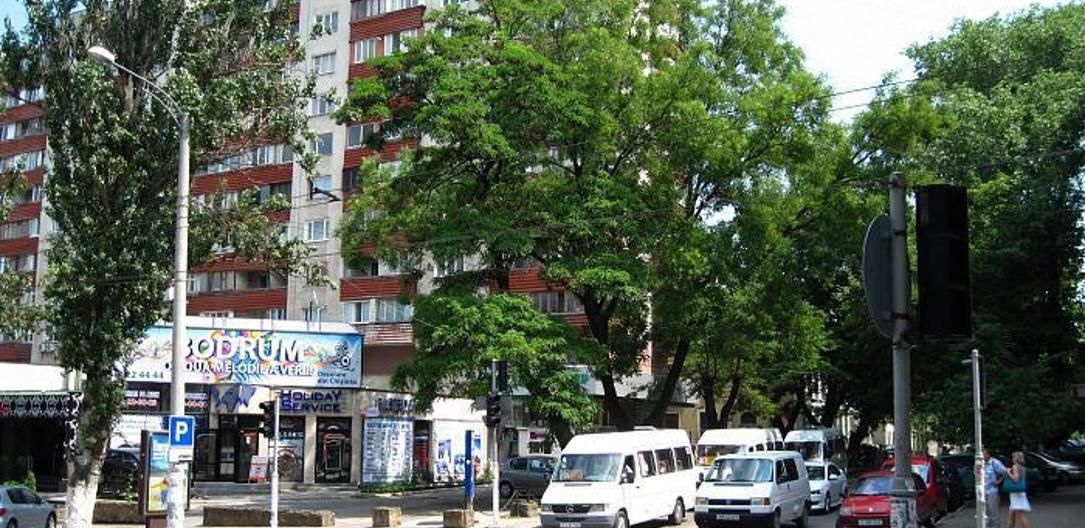 Движение транспорта будет организовано по одной полосе в связи с проведением работ по обрезке сухих ветвей. Фото: wikimapia.com.