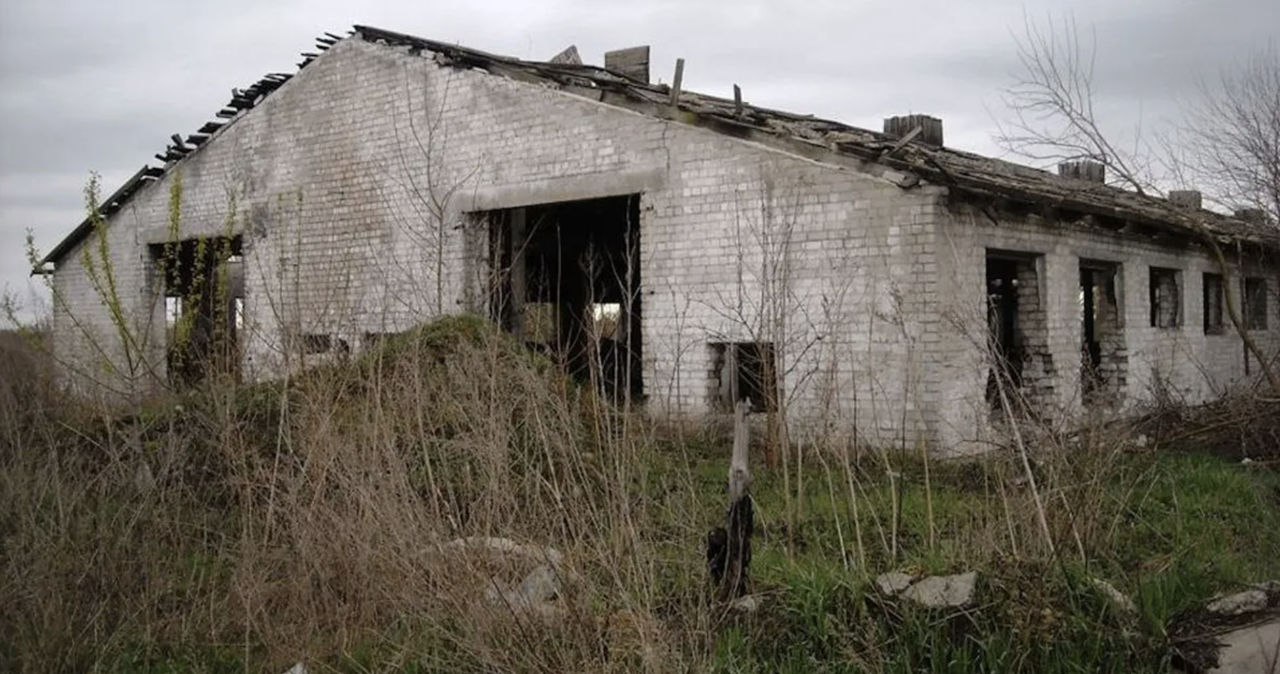 În România a crescut brusc numărul falimentelor în agricultură.