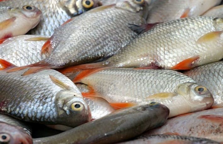 Zarvă în Capitală: Un supermarket propune clienţilor peşte alterat