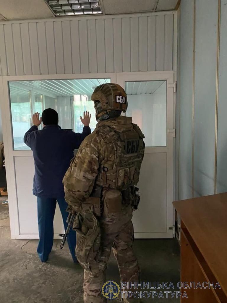 Гражданина Молдовы задержали в Украине за контрабанду янтаря. Фото: vin.gp.gov.ua.