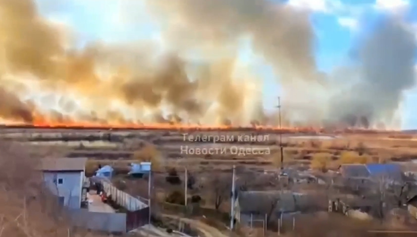 В Одесской области горел Нижнеднестровский заповедник.