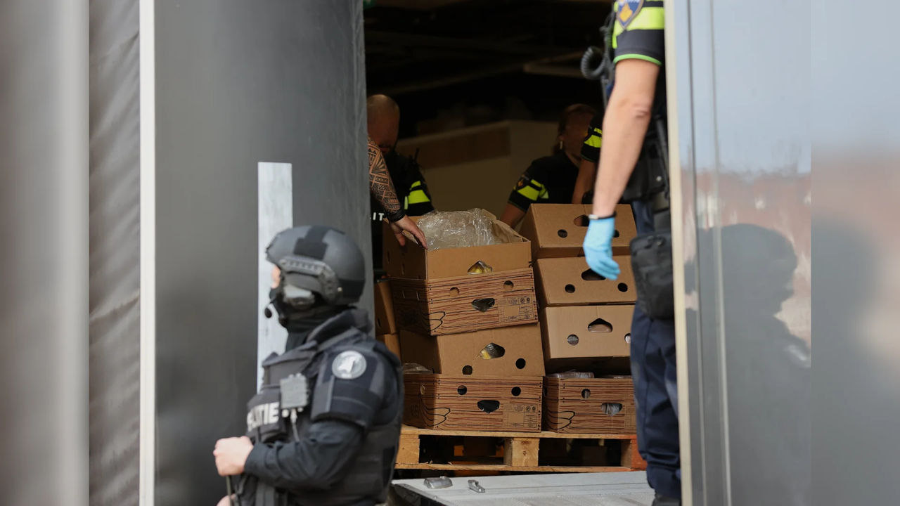 Zeci de kilograme de cocaină, descoperite în banane în supermarketurile din Olanda.